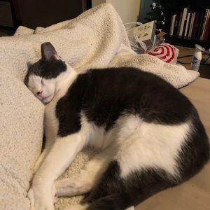 Meet your Posher, Meike